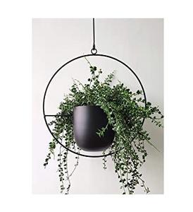 Jardinières murales en métal de qualité supérieure Design élégant et durable Idéal pour la décoration intérieure de la chambre, du salon, de la cuisine ou du bureau - Product Image 5