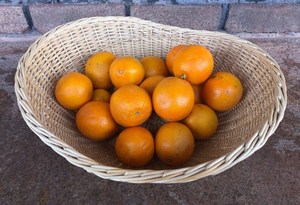 ชามผลไม้หวายสไตล์วินเทจพร้อมของตกแต่งที่มีเสน่ห์เหมาะสำหรับโต๊ะอาหารและเครื่องครัวที่ใช้ในบ้าน - Product Image 3