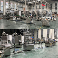 Ligne de production de remplissage automatique multi-têtes ORME pour jus, lait, yaourt, condiments, sauces épaisses et lotions