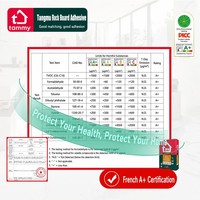 Colle à carrelage structurelle Tammy Rockboard Adhesive 906 C2E, agent de collage de construction à base de ciment haute résistance, 20 kg/sac