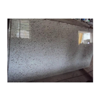 Granit blanc Galaxy haute performance pour comptoir de cuisine et escaliers au meilleur prix