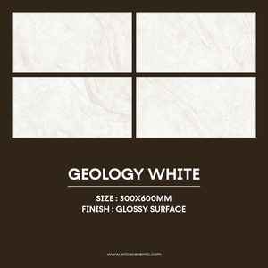 Carreaux de porcelaine modernes 300x600mm pour murs et sols de salle de bain résistants à l'eau et faciles à entretenir avec un style élégant - Product Image 2