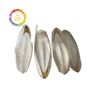 Vente en gros os de calmar du Vietnam de haute qualité et super bon marché pour les fournitures pour animaux de compagnie - Product Image 5