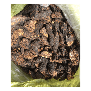 Best <b>Quality</b> Dried Noni Fruit 100% Natural Originated From Vietnam with Competitive Price and High <b>Quality</b> - Product Image 6