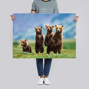 Affiche sur toile de style moderne avec des oursons pour la décoration murale - Product Image 4