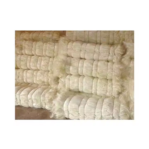 Fibre de sisal pour le gypse ou le fil de sisal, de Tanzanie - Product Image 2