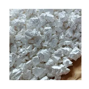 Bán buôn số lượng lớn maranta arundinacea mũi tên gốc bột hữu cơ Arrowroot bột Chất lượng cao tại Việt Nam
