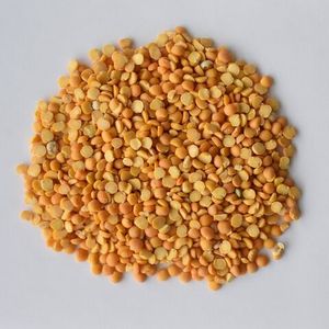 Lentilles jaunes séchées biologiques de qualité supérieure - Durée de conservation de 24 mois - En vente - Product Image 5