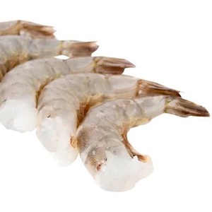 Camarones Enteros Sin Piel de Alta Calidad |   Compra al por Mayor para Exportación - Product Image 2