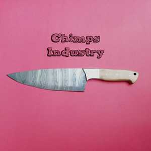 Couteau de cuisine en acier inoxydable et bois, de haute qualité, personnalisé, écologique, multifonctionnel, pour fruits, légumes et usage domestique - Product Image 2