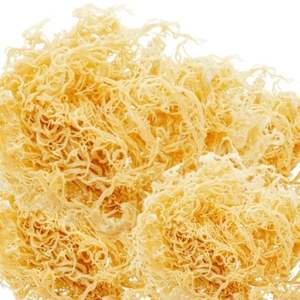 มอสไอริชคุณภาพสูงจัดส่งรวดเร็ว - Product Image 2