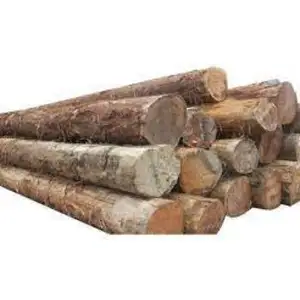 10天交货库存供应欧洲德国白橡木木材工程师地板硬木