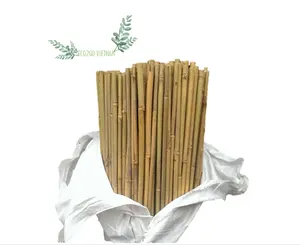Production d'exportation vietnamienne piquet de bambou jardinage/bâton de canne en bambou pour une utilisation dans l'agriculture par Eco2go Vietnam