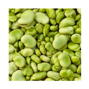 Fournisseur d'or de haricots secs, haricots en coque, 50 à 60 sacs, style jaune clair - Product Image 5
