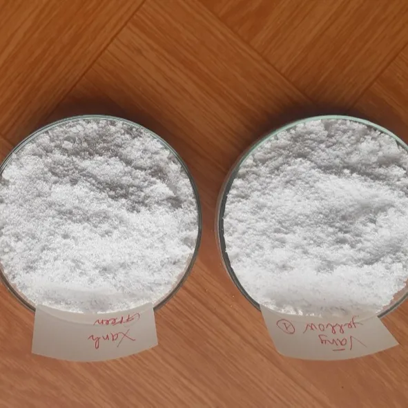 CAS No.471-34-1 CaCO3 carbonato di calcio leggero rivestito di carbonato di calcio Caco3 prezzo di mercato polvere gassata