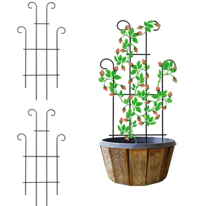 Enrejado de hierro para interiores y exteriores de estilo indio para plantas en maceta, pequeñas plantas trepadoras, venta al por mayor disponible - Product Image 1