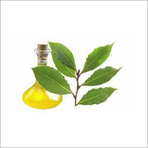 Huile de feuille de laurier 100% pur et naturel en gros en vrac prix le plus bas emballage personnalisé - Product Image 4