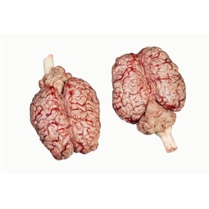 Cerveaux de bœuf congelés en gros - Fournisseur d'exportation de cerveaux de bœuf en vrac - Product Image 5