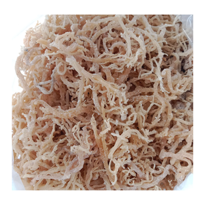 Vente en gros de produits de la mer sains, mousse de mer irlandaise jaune et violette, algues fraîches crues eucheuma cottonii de 99 Gold Data Vietnam - Product Image 6