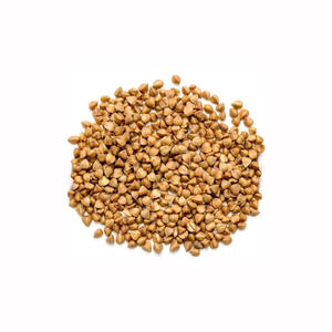 Trigo Sarraceno a Granel, Precio de Mayoreo, Granos de Alta Calidad, Servicio de Entrega Rápida - Product Image 6