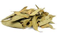 Daun Eucalyptus Kering Daun Nilgiri Kering Daun Neelgiri Kering Herbal Mentah Kering Grosir Ekstrak Tanaman Produk Herbal Kelas A+ Drum
