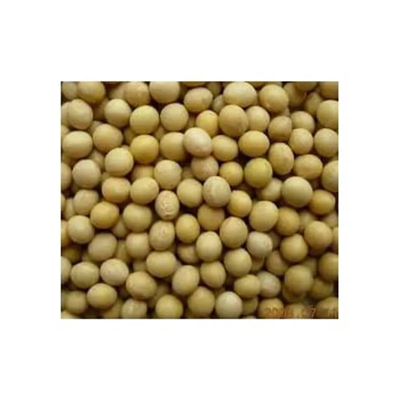 High quality soya beans yellow soybean soybean supplier