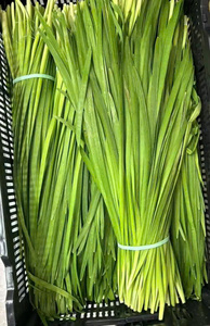 Feuilles de Pandan Surgelées IQF du Vietnam Qualité Fraîche Naturelle Fournisseur d'Exportation/Bon Prix Premium - Product Image 2