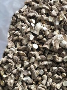 Tallos de hongos Shiitake secos para sopa para té o hacer hilo dental de hongos veganos - Product Image 6