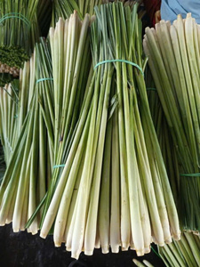 Vente en gros de citronnelle fraîche du Vietnam de haute qualité - Product Image 4