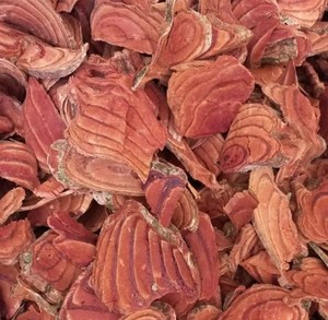 Vigne de sang de poulet de qualité supérieure, vigne de sang séchée du Vietnam, produit à base de plantes de qualité supérieure, meilleur choix pour la vente en gros et l'exportation - Product Image 3