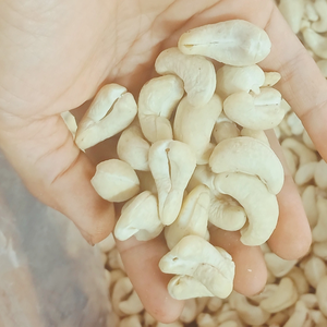 เม็ดมะม่วงหิมพานต์ คาจู บาดัม ซานติโก จัดส่งฟรี ทุกขนาด บริการสั่งทำตามความต้องการ มีจำหน่ายเม็ดมะม่วงหิมพานต์ดิบ - Product Image 1