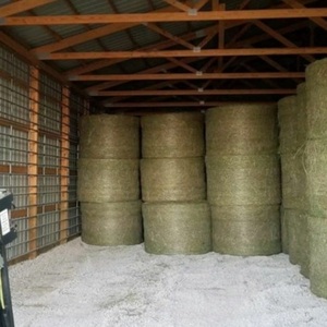 Heno de Alfalfa 100% Natural de Primera Calidad, Empaque Personalizado para Alimentación Animal, Venta al por Mayor para Ganado, Caballos, Vacas y Pollos - Product Image 4