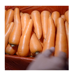 300g de carotte fraîche de taille moyenne - Product Image 2