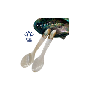 Conch Seashell ช้อนช้อนกาแฟราคาที่ดีที่สุดจากเวียดนาม - Product Image 3
