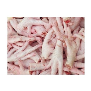 Pieds de poulet congelés de haute qualité, partie du corps, vitamines riches, emballage en vrac certifié halal pour distributeurs grossistes détaillants - Product Image 2