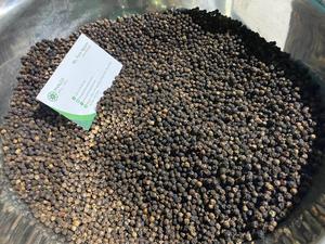Pimienta negra vietnamita 580G Jumbo Bold Hierba picante Especias crudas secas en patrón Sabor caliente Variedad de exportación Proceso de secado limpio - Product Image 2