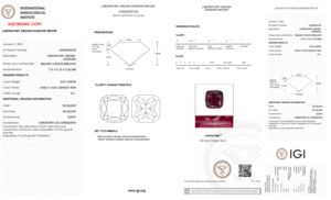 COUSSIN CARRÉ COUPE BRILLANT 3.02ct CVD Lab Grown Synthétique Fantaisie Vivid Orangy Rose VS1 Pureté IGI Certifié Pierre 560224156 - Product Image 5