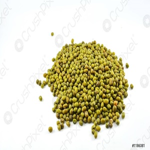 Compre frijoles mungo baratos y de la mejor calidad en línea Frijoles mungo asequibles para la venta - Product Image 1