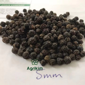 Nouvelle récolte POIVRE NOIR BOLD JUMBO 5MM AD ISO certifié Vietnam séché cru meilleure vente épices simples herbes + 84 359318390 - Product Image 1