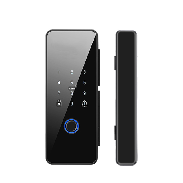 Tuya BLE Biometric Fingerprint Glass/Wood Door Lock with Cloud Storage Aluminum Alloy Double Hook Bolt Smart Lock