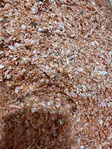 Hete Verkoop Van Vietnam Eersteklas Gedroogde Garnalenschaal Voor Vee Bestseller Van De Maand - Product Image 3