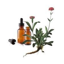 Vente en gros d'huile essentielle de nard naturel d'aromathérapie biologique pure à 100% utilisée en médecine fabriquée en Inde - Product Image 4