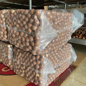 Noix de macadamia grillées décortiquées avec coquille et noyau Collations exotiques Vente en gros Noix de macadamia Produit Genre/ ANNA DO VILACONIC - Product Image 6