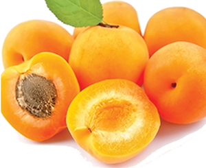 Abricots en merveilleux abricots secs à bas prix de gros et au détail - Product Image 5