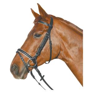 Brida - Product Image 5