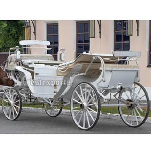 Carro funerario tradicional tirado por caballos, el último carro funerario tirado por caballos blancos, carruajes funerarios blancos antiguos - Product Image 6