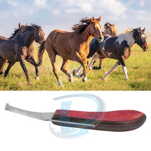 Cuchillos para Cascos de Caballos Más Vendidos, Bajo MOQ, Último Estilo, Color y Tamaño Personalizables - Product Image 6