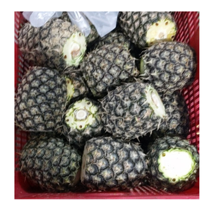 Morceaux d'ananas congelés IQF pelés en tranches d'ananas congelés du Vietnam emballés pour l'exportation vers les fabricants de produits alimentaires du monde entier - Product Image 5
