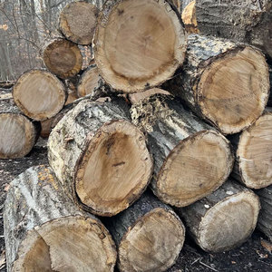 Leña de roble de alta calidad al por mayor Leña de roble real, madera de roble lista para estufa y divisor de leña - Product Image 1