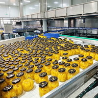 ENAK Eenvoudige bediening Volledig automatische productielijn voor ingeblikt fruit en voedsel, turnkey oplossing
